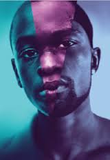 2017 Golden Globe Winner for Best Motion Picture, Drama, Moonlight, will take home the HRC Visionary Arts Award at this year's HRC Greater NY Gala
